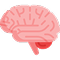 Brain Icon